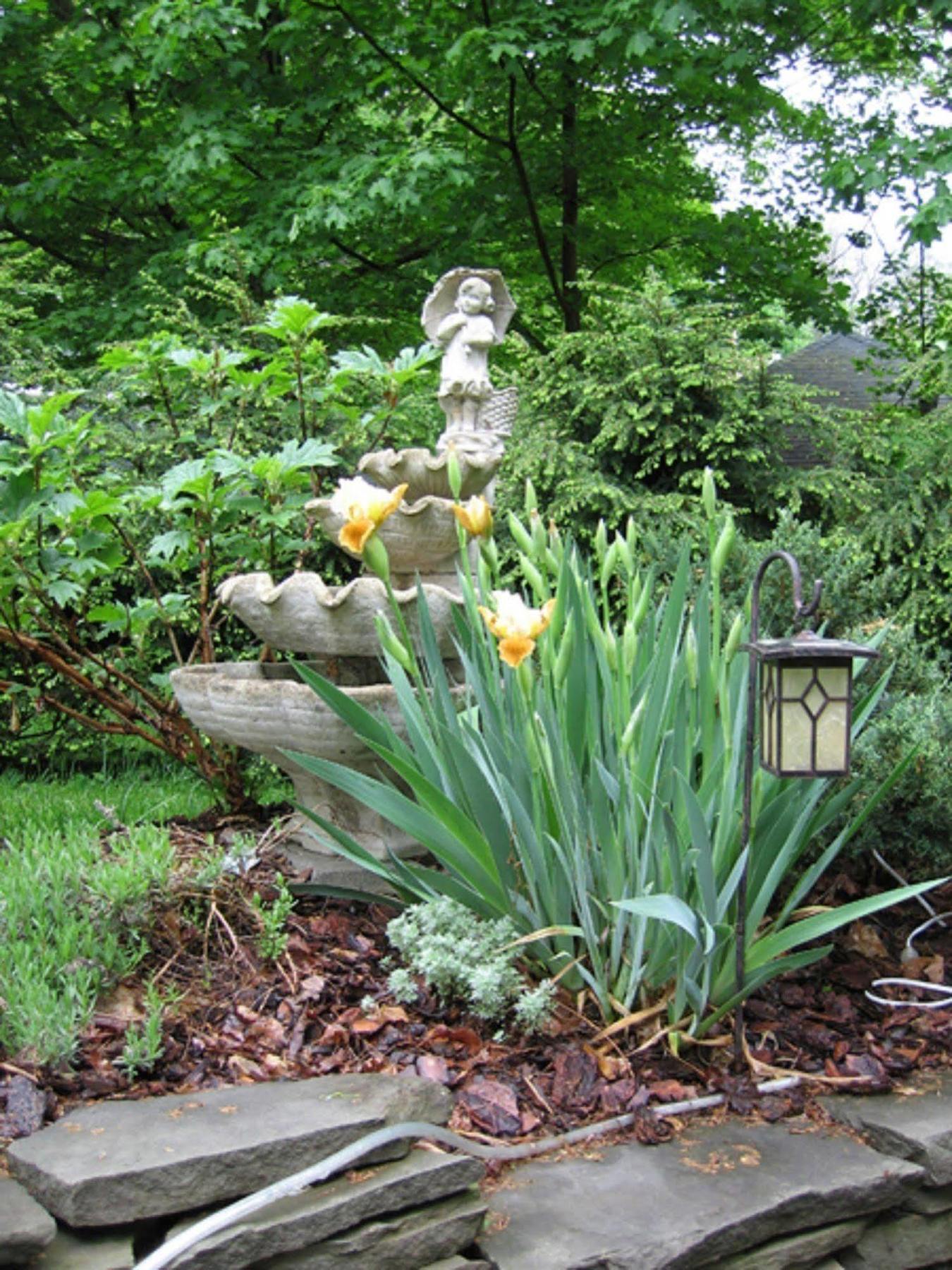 Bellinger Rose Bed & Breakfast Herkimer Exterior photo